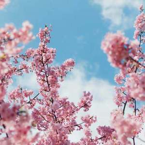 俄罗斯老大妈发型找80岁的老头裸体性交真人真事的视频
